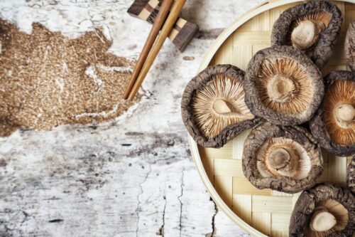 Zastosowanie grzybów w Tradycyjnej Medycynie Chińskiej